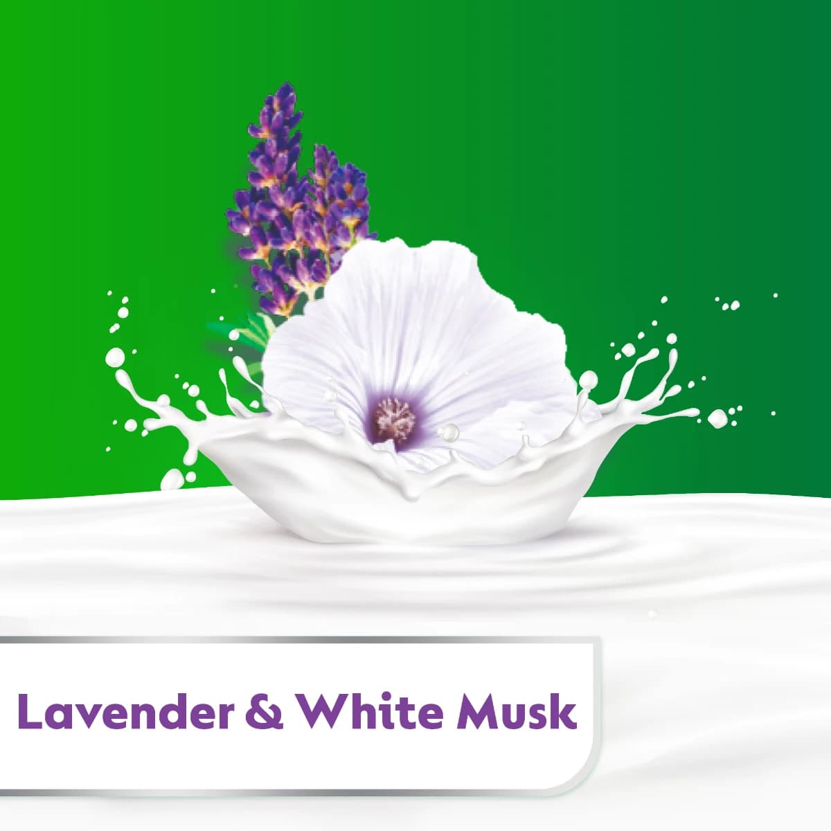 Dettol Sensitive Shower Gel at Body Wash, Lavender at White Musk Scent – 250 ml + Puff (Larawan 5 ng 5)